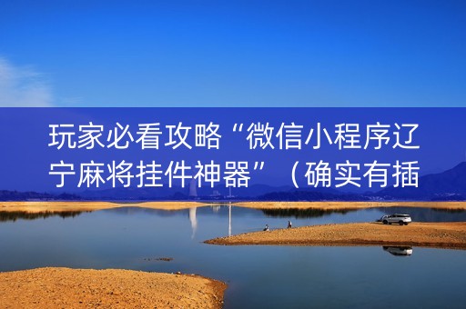 玩家必看攻略“微信小程序辽宁麻将挂件神器”（确实有插件吗)