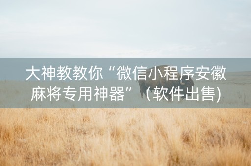 大神教教你“微信小程序安徽麻将专用神器”（软件出售)