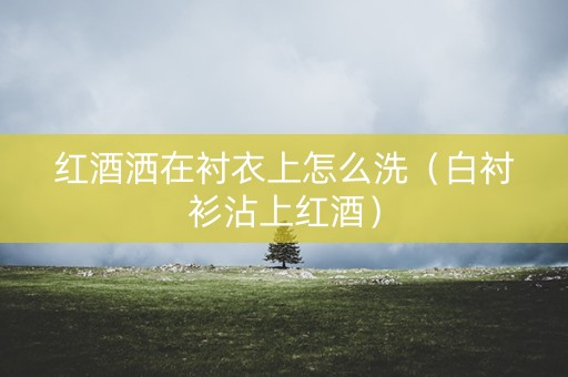 红酒洒在衬衣上怎么洗（白衬衫沾上红酒）