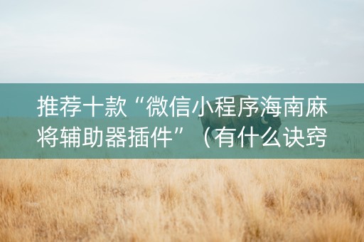 推荐十款“微信小程序海南麻将辅助器插件”（有什么诀窍)
