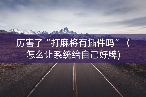 厉害了“打麻将有插件吗”（怎么让系统给自己好牌)