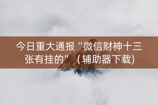 今日重大通报“微信财神十三张有挂的”（辅助器下载)