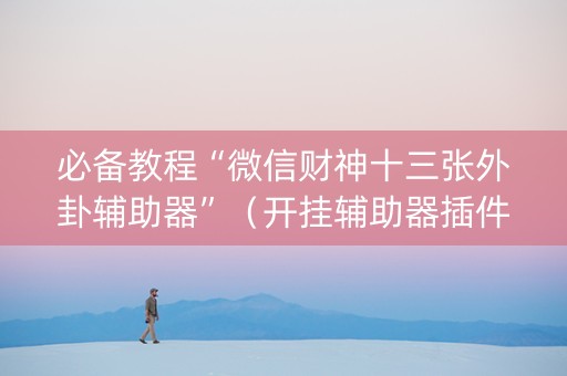 必备教程“微信财神十三张外卦辅助器”（开挂辅助器插件)