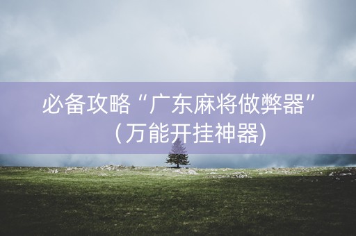必备攻略“广东麻将做弊器”（万能开挂神器)