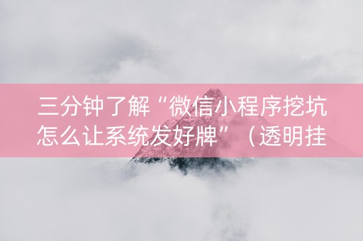 三分钟了解“微信小程序挖坑怎么让系统发好牌”（透明挂辅助器)