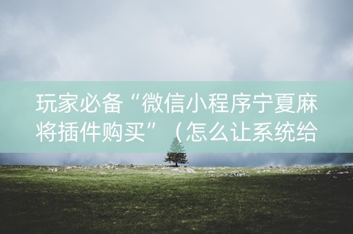 玩家必备“微信小程序宁夏麻将插件购买”（怎么让系统给你发好牌)