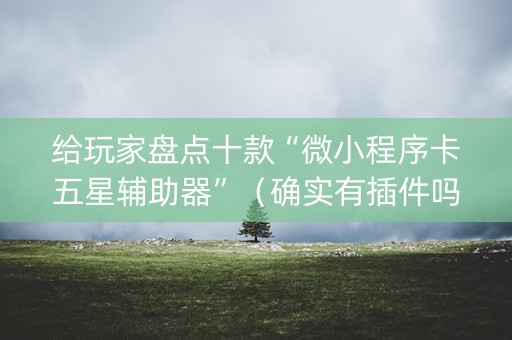 给玩家盘点十款“微小程序卡五星辅助器”（确实有插件吗)