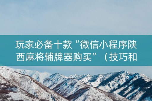 玩家必备十款“微信小程序陕西麻将辅牌器购买”（技巧和打好牌方法)