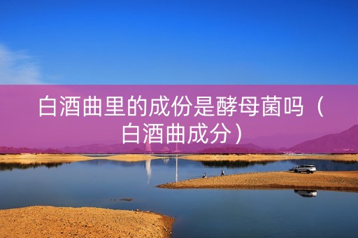 白酒曲里的成份是酵母菌吗（白酒曲成分）