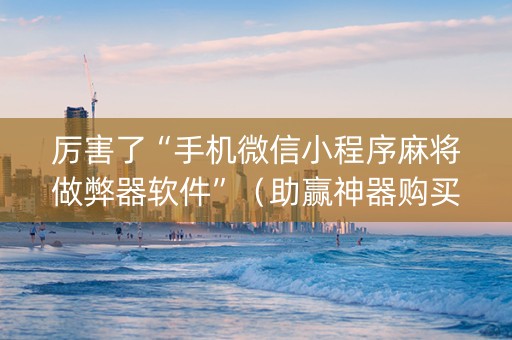厉害了“手机微信小程序麻将做弊器软件”（助赢神器购买)