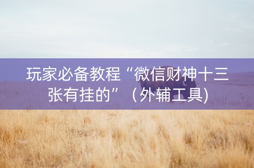 玩家必备教程“微信财神十三张有挂的”（外辅工具)
