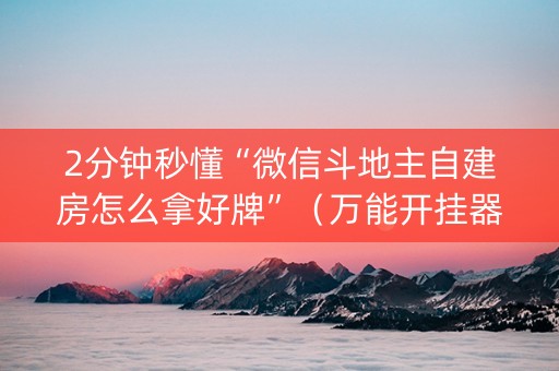 2分钟秒懂“微信斗地主自建房怎么拿好牌”（万能开挂器)