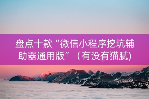 盘点十款“微信小程序挖坑辅助器通用版”（有没有猫腻)