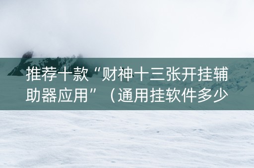 推荐十款“财神十三张开挂辅助器应用”（通用挂软件多少钱)