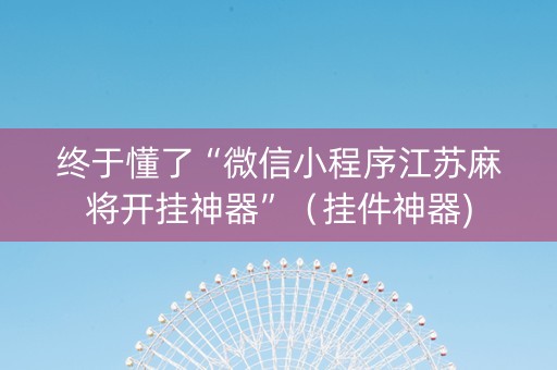 终于懂了“微信小程序江苏麻将开挂神器”（挂件神器)