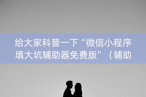 给大家科普一下“微信小程序填大坑辅助器免费版”（辅助器插件)