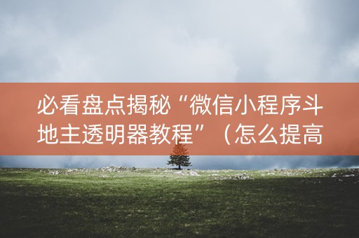 必看盘点揭秘“微信小程序斗地主透明器教程”（怎么提高胜率)