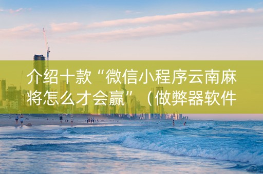 介绍十款“微信小程序云南麻将怎么才会赢”（做弊器软件下载)