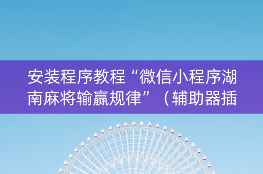 安装程序教程“微信小程序湖南麻将输赢规律”（辅助器插件)