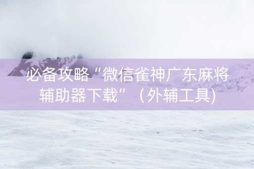 必备攻略“微信雀神广东麻将辅助器下载”（外辅工具)