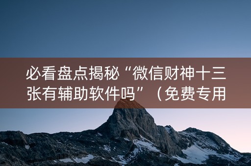 必看盘点揭秘“微信财神十三张有辅助软件吗”（免费专用神器)