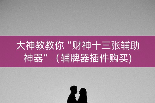 大神教教你“财神十三张辅助神器”（辅牌器插件购买)