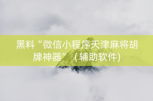 黑料“微信小程序天津麻将胡牌神器”（辅助软件)
