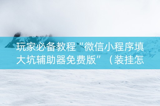 玩家必备教程“微信小程序填大坑辅助器免费版”（装挂怎么安装)