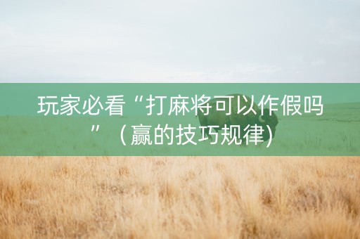 玩家必看“打麻将可以作假吗”（赢的技巧规律)