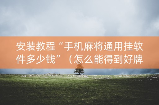 安装教程“手机麻将通用挂软件多少钱”（怎么能得到好牌)