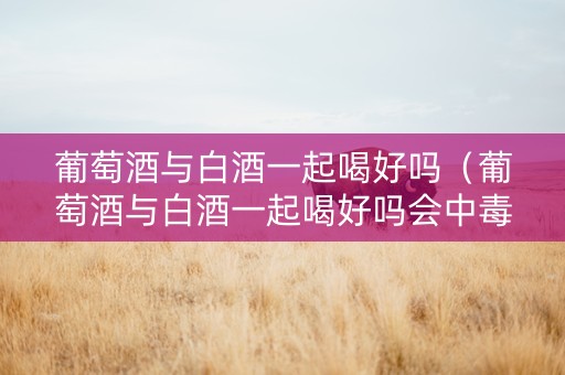 葡萄酒与白酒一起喝好吗（葡萄酒与白酒一起喝好吗会中毒吗）