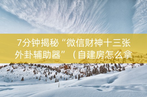7分钟揭秘“微信财神十三张外卦辅助器”（自建房怎么拿好牌)