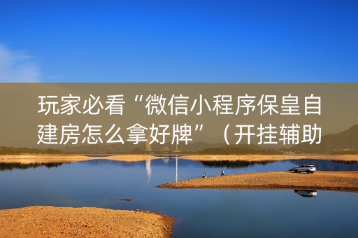 玩家必看“微信小程序保皇自建房怎么拿好牌”（开挂辅助插件)
