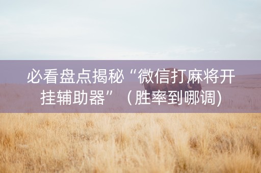 必看盘点揭秘“微信打麻将开挂辅助器”（胜率到哪调)