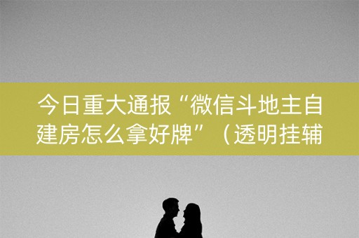 今日重大通报“微信斗地主自建房怎么拿好牌”（透明挂辅助器)