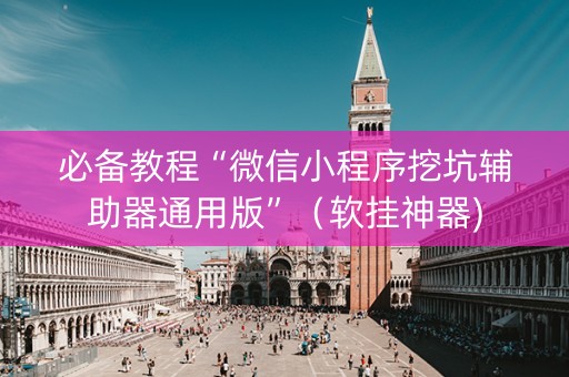 必备教程“微信小程序挖坑辅助器通用版”（软挂神器)