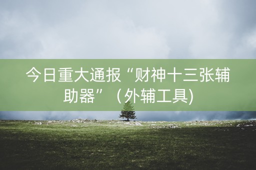 今日重大通报“财神十三张辅助器”（外辅工具)