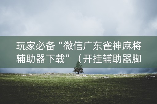 玩家必备“微信广东雀神麻将辅助器下载”（开挂辅助器脚本)