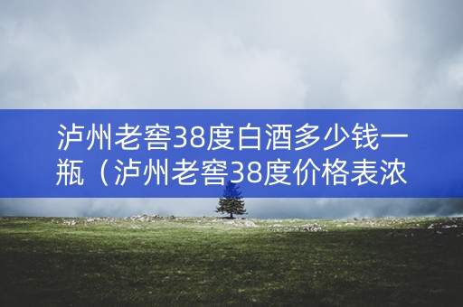 泸州老窖38度白酒多少钱一瓶（泸州老窖38度价格表浓香型500ml喜装）