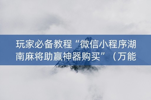 玩家必备教程“微信小程序湖南麻将助赢神器购买”（万能开挂神器)