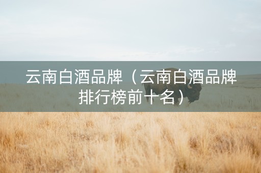 云南白酒品牌（云南白酒品牌排行榜前十名）