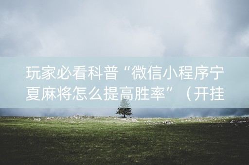 玩家必看科普“微信小程序宁夏麻将怎么提高胜率”（开挂神器下载)