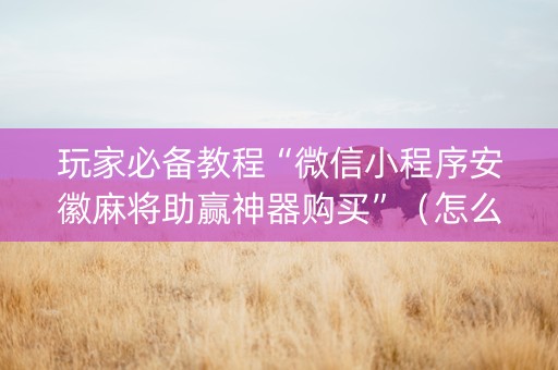 玩家必备教程“微信小程序安徽麻将助赢神器购买”（怎么控制输赢)