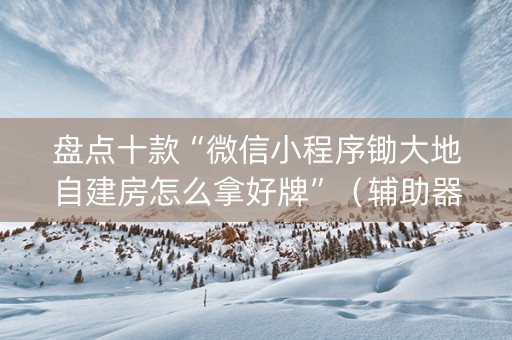 盘点十款“微信小程序锄大地自建房怎么拿好牌”（辅助器下载)