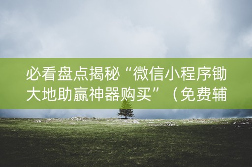 必看盘点揭秘“微信小程序锄大地助赢神器购买”（免费辅助)