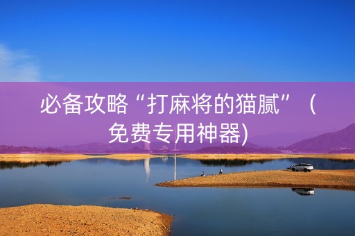 必备攻略“打麻将的猫腻”（免费专用神器)
