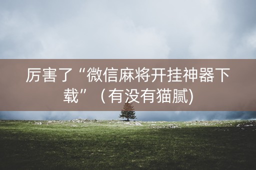 厉害了“微信麻将开挂神器下载”（有没有猫腻)