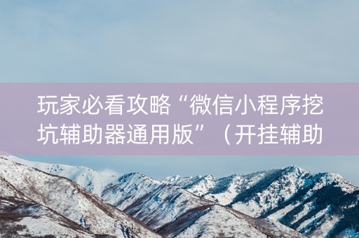 玩家必看攻略“微信小程序挖坑辅助器通用版”（开挂辅助脚本)