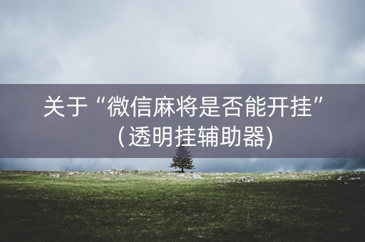 关于“微信麻将是否能开挂”（透明挂辅助器)