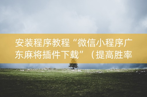 安装程序教程“微信小程序广东麻将插件下载”（提高胜率软件)